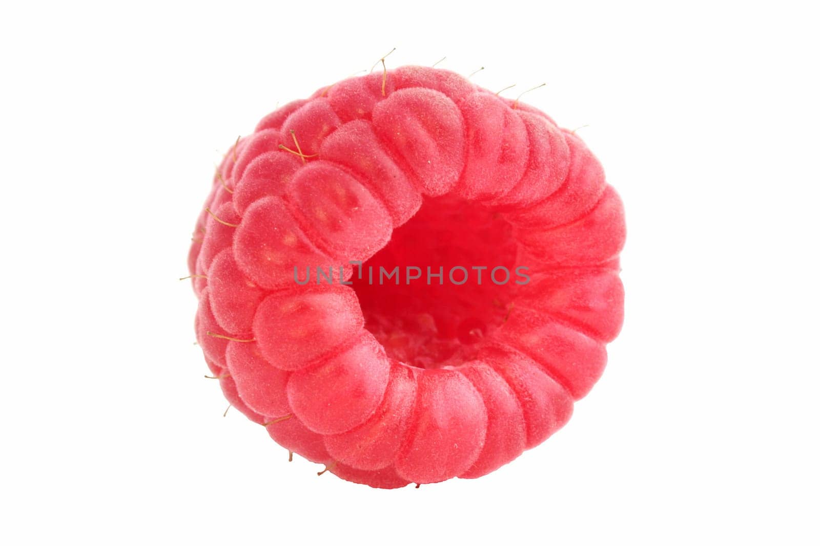 Closeup of single isolated raspberry
