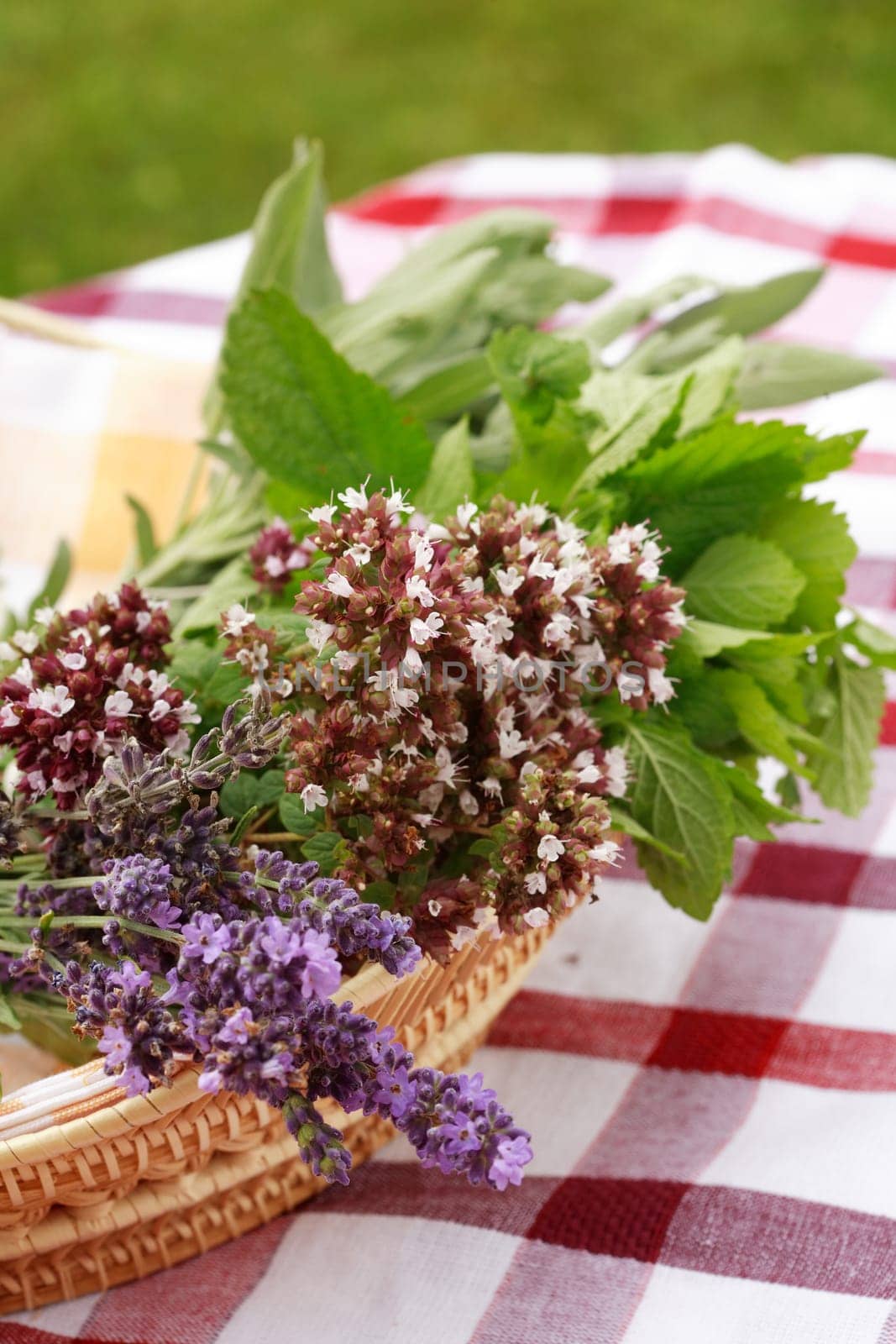 Fresh herbs from garden
