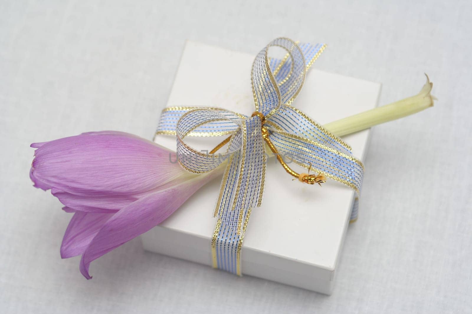 Gift with a flower on a white background