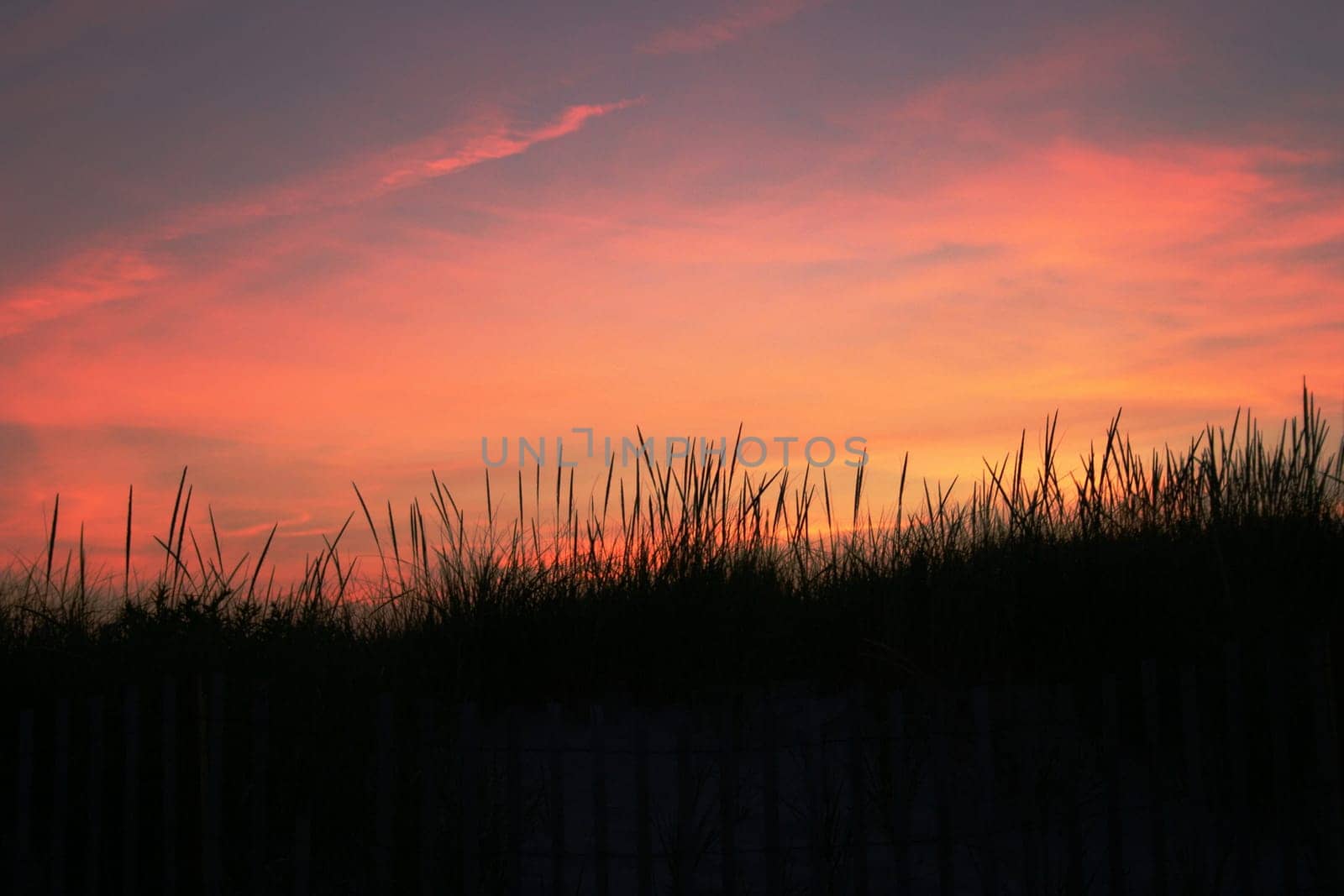 Sunset at the Beach