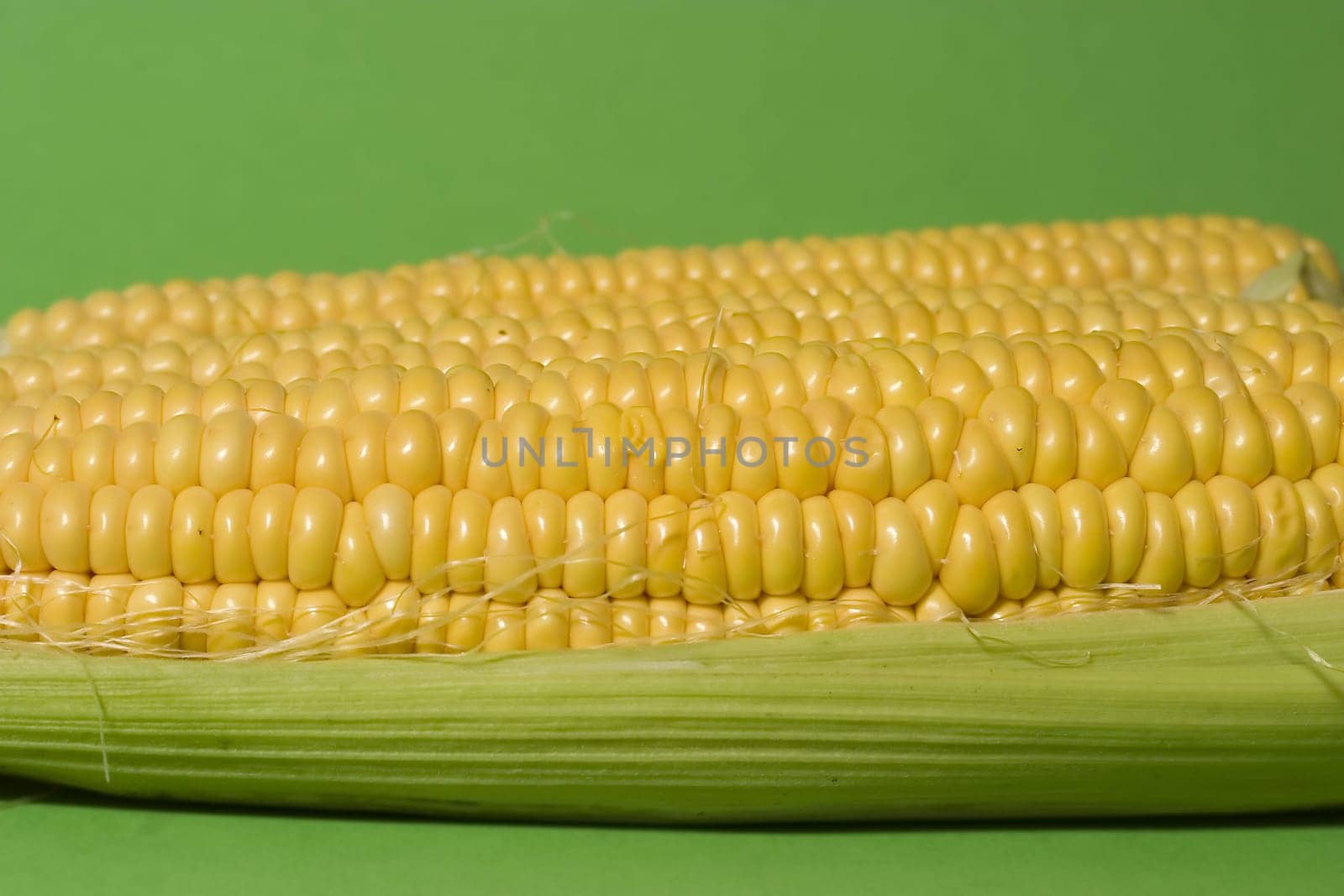 Corn cobs isolated on green