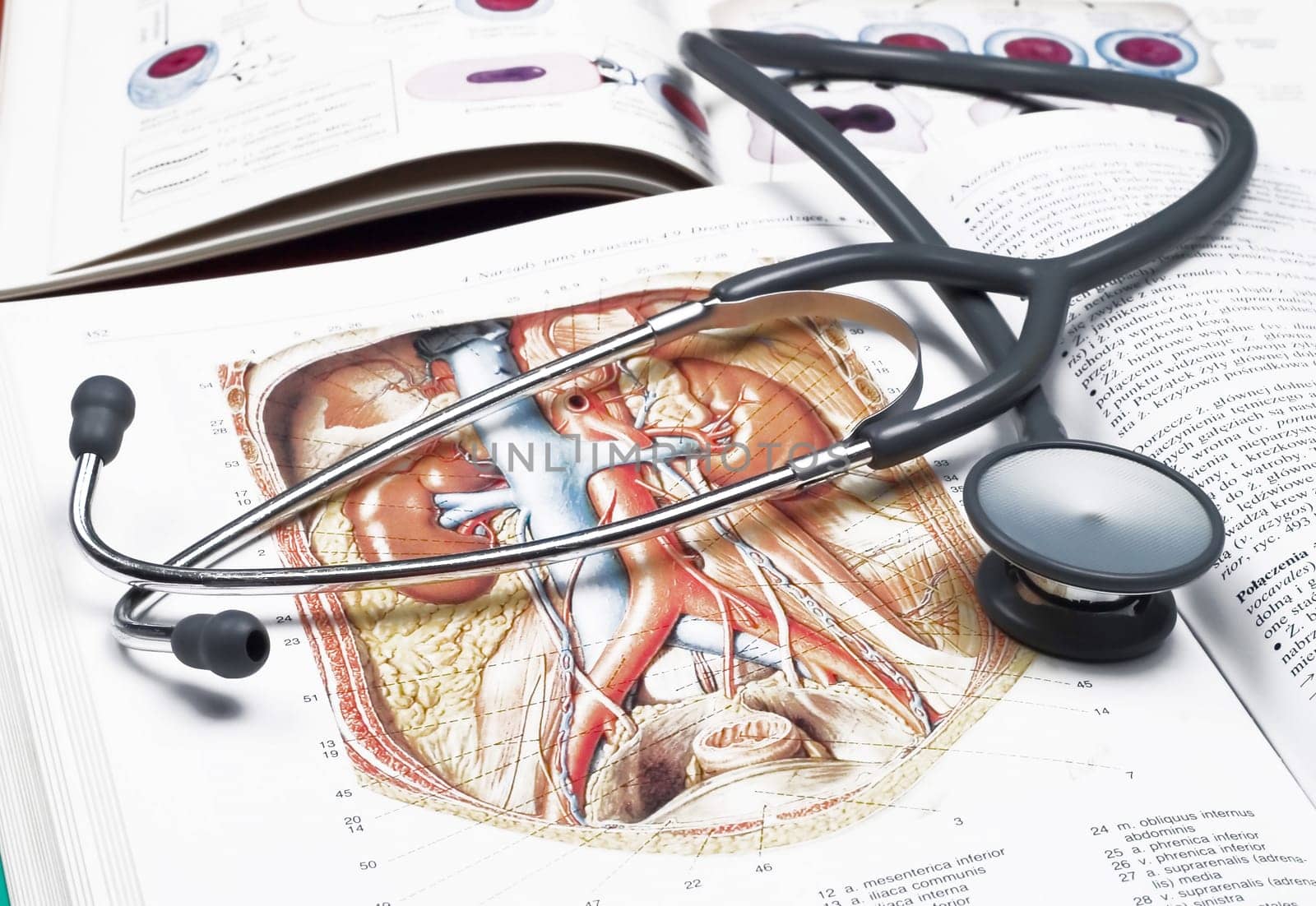 Stethoscope on a medical book isolated on white