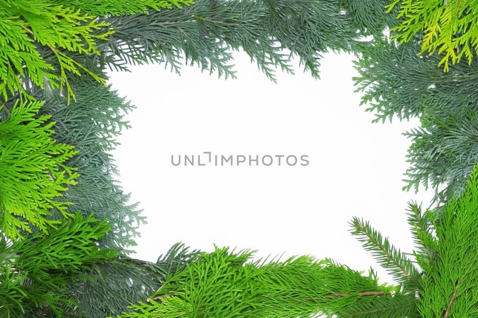green frame isolated on white