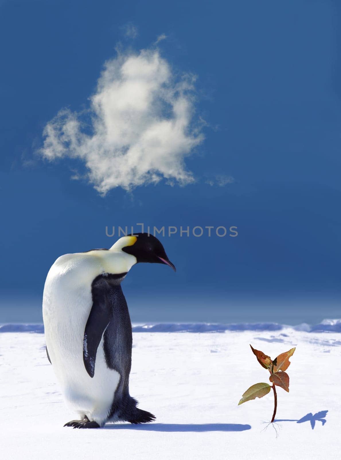 Global warming in Antarctica