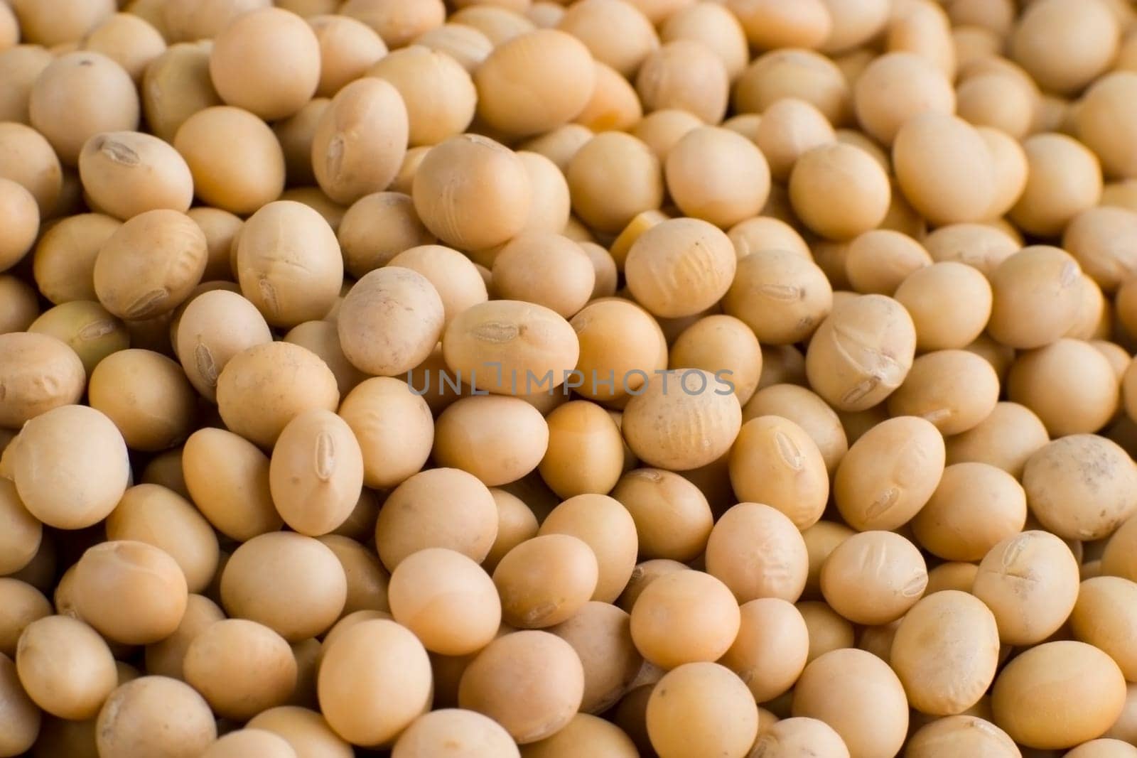 Soy bean isolated on white.
