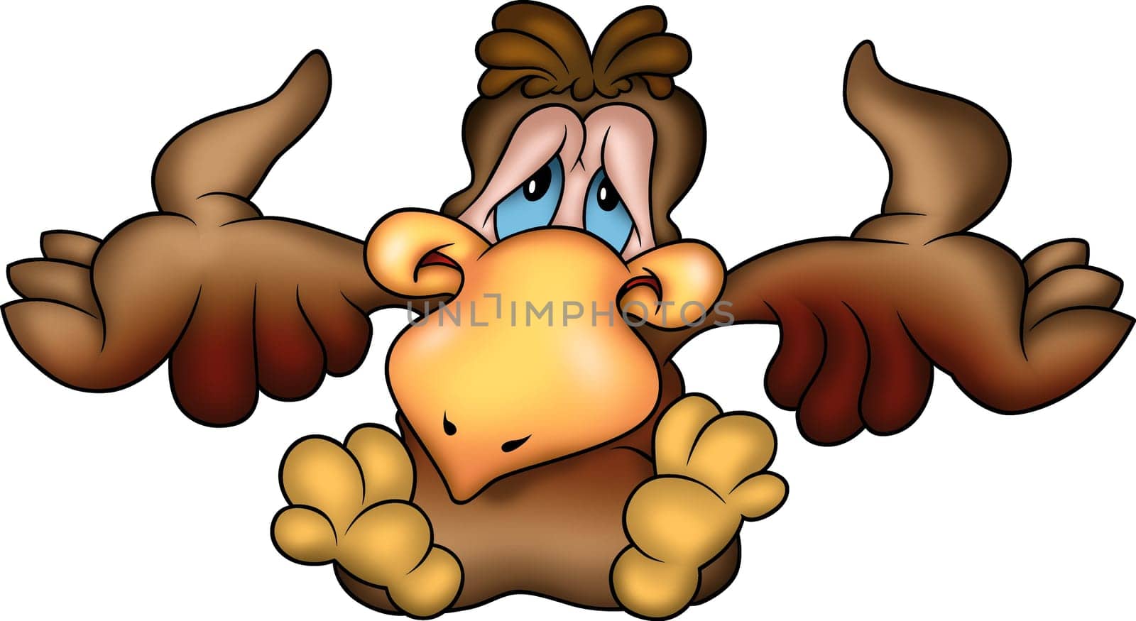 Parrot 02 - High detailed and coloured illustration - Brown parrot