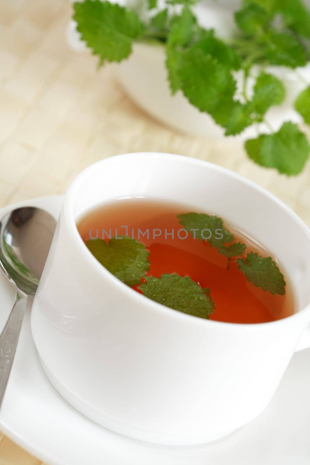 Cup of mint tea with mint