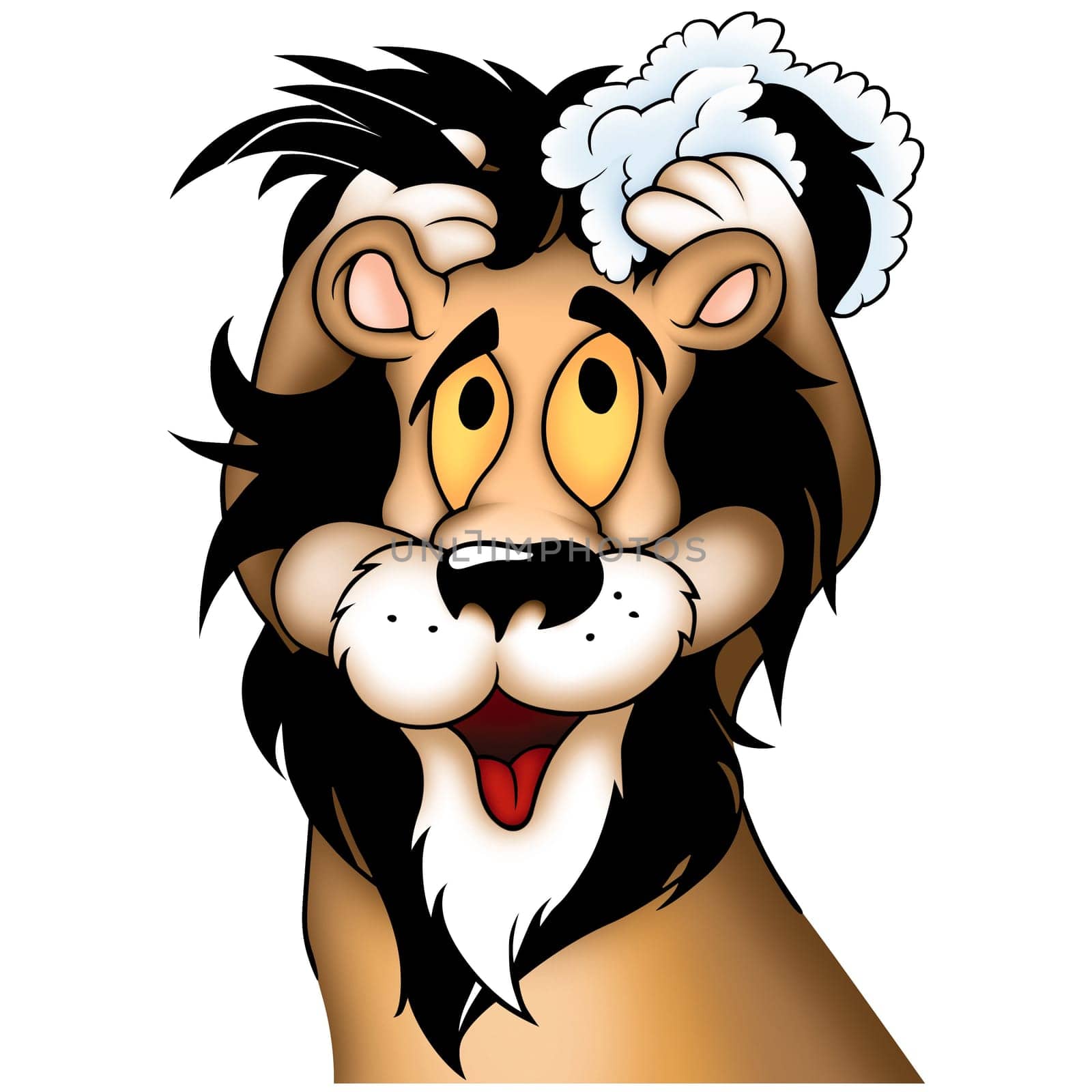 Lion 01 washing - High detailed and coloured illustration