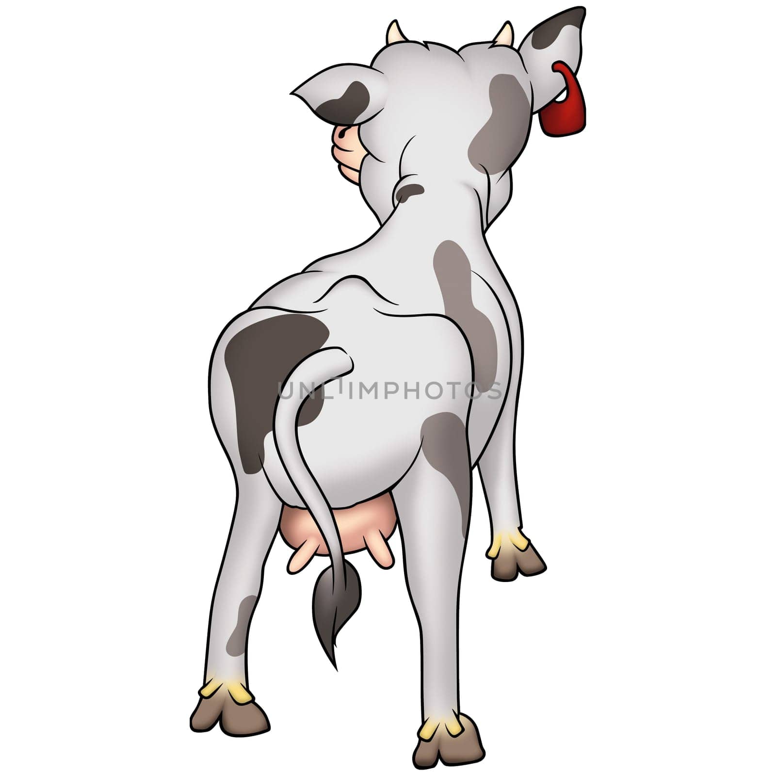 Cow 01 - High detailed and coloured illustration - White spotted cow