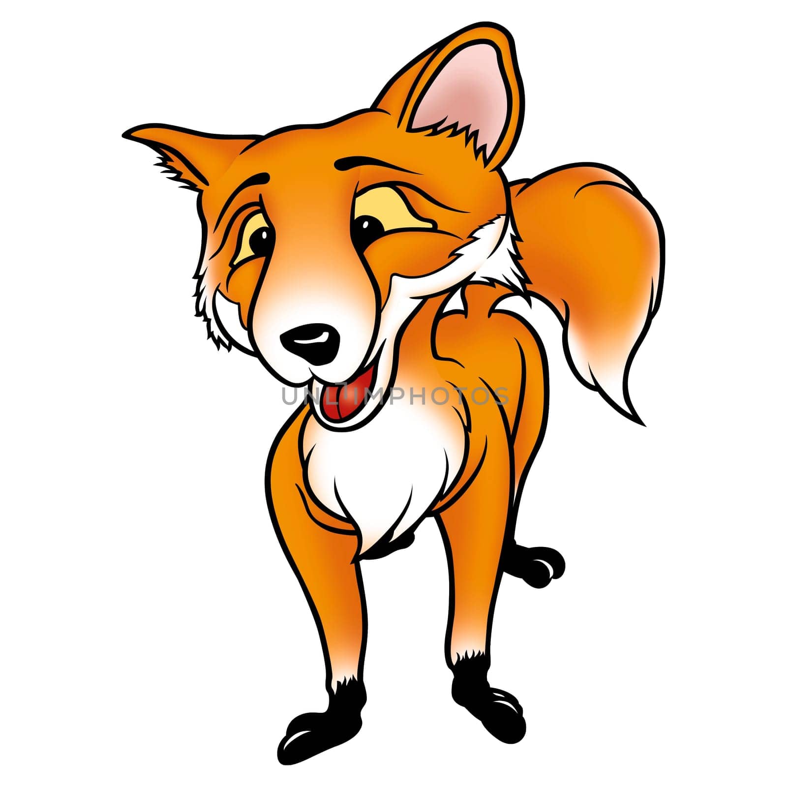 Dog-fox - High detailed and coloured illustration - Clever Fox