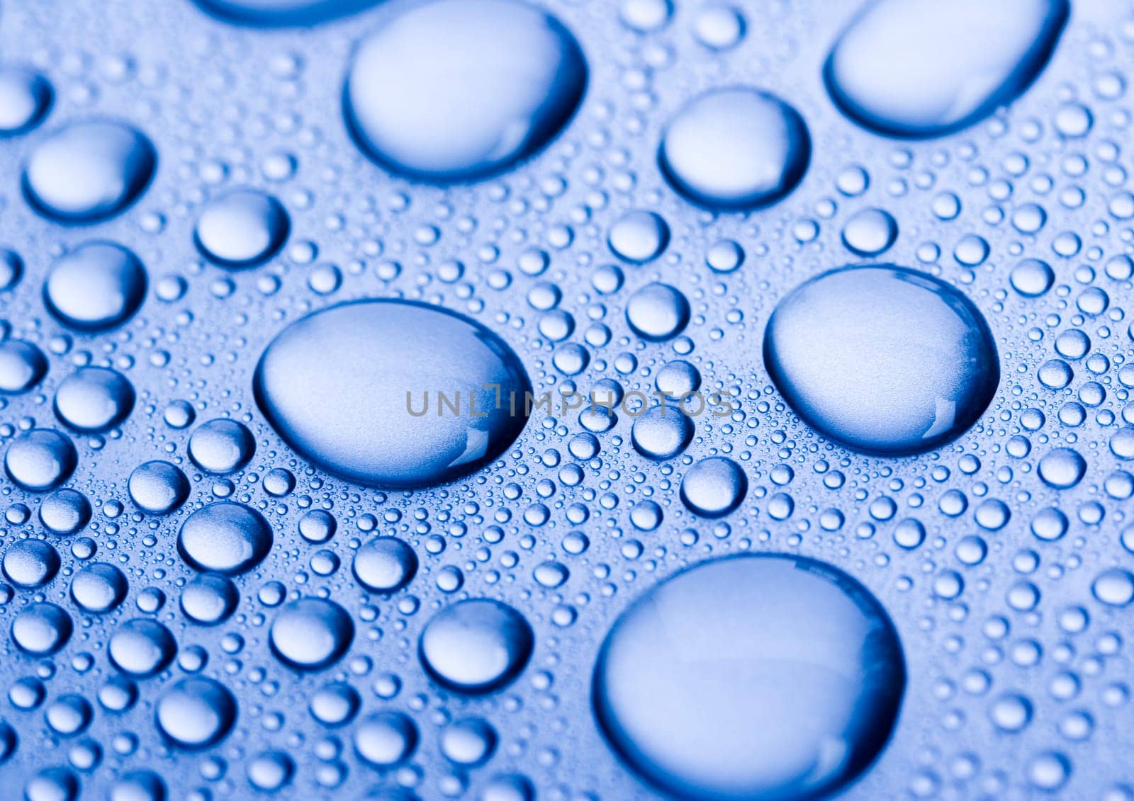Water is the most important element for all lives on the Earth.
