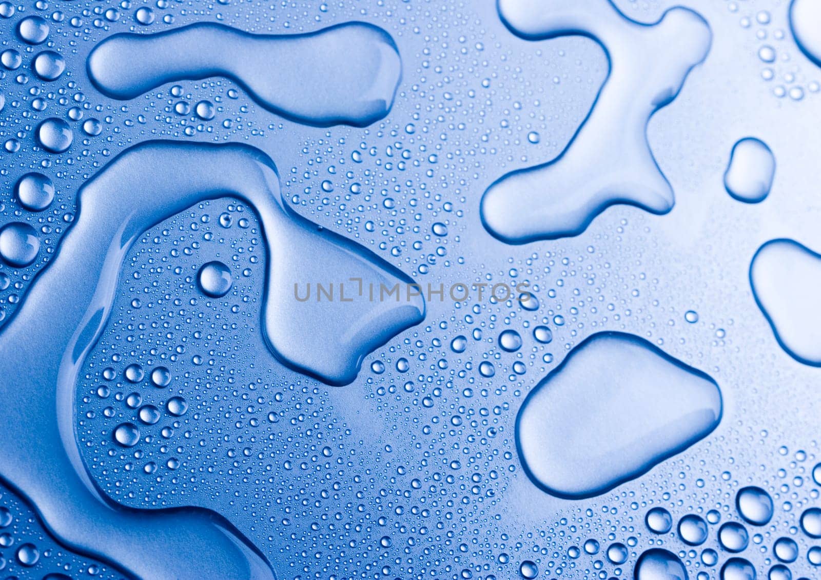 Water is the most important element for all lives on the Earth.