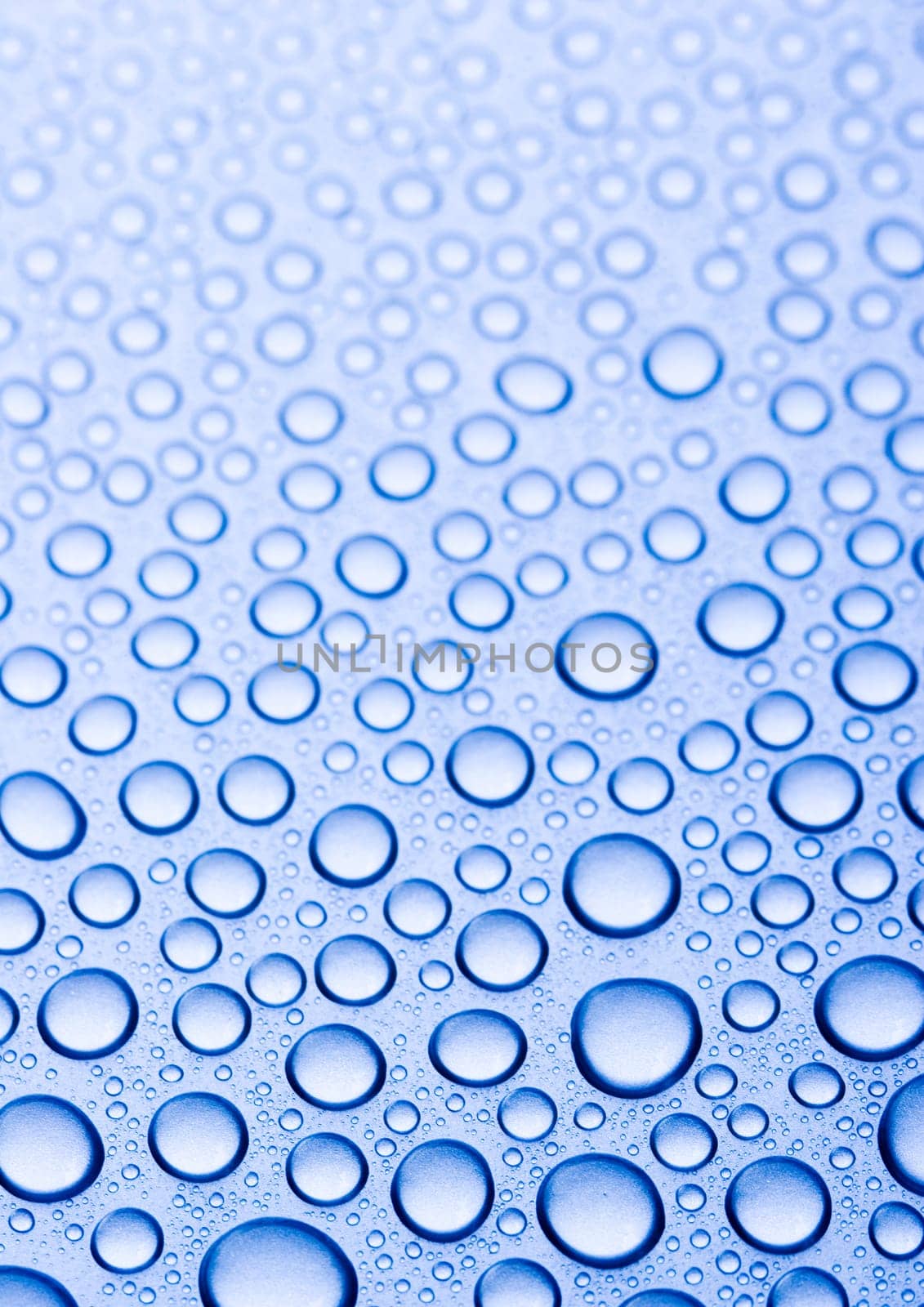 Water is the most important element for all lives on the Earth.