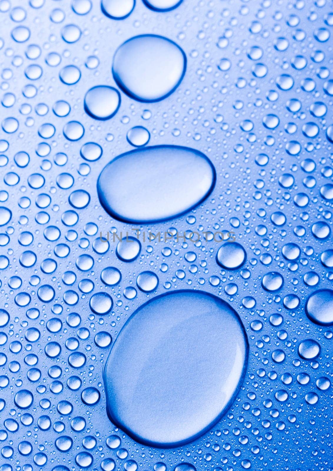 Water is the most important element for all lives on the Earth.