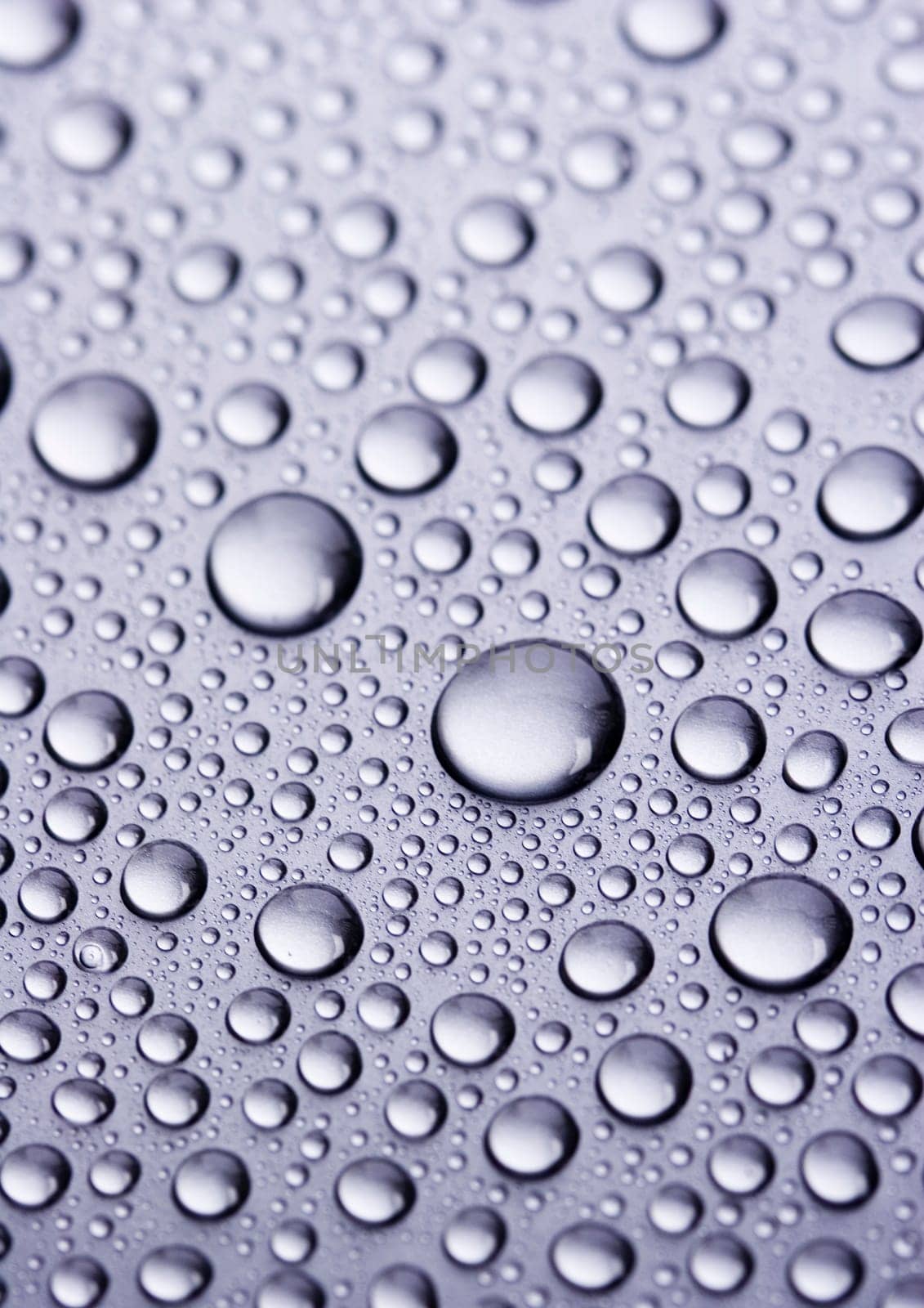 Water is the most important element for all lives on the Earth.