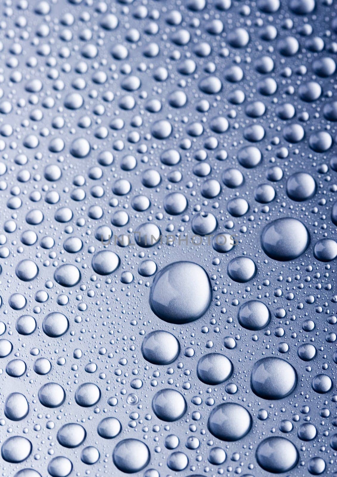 Water is the most important element for all lives on the Earth.