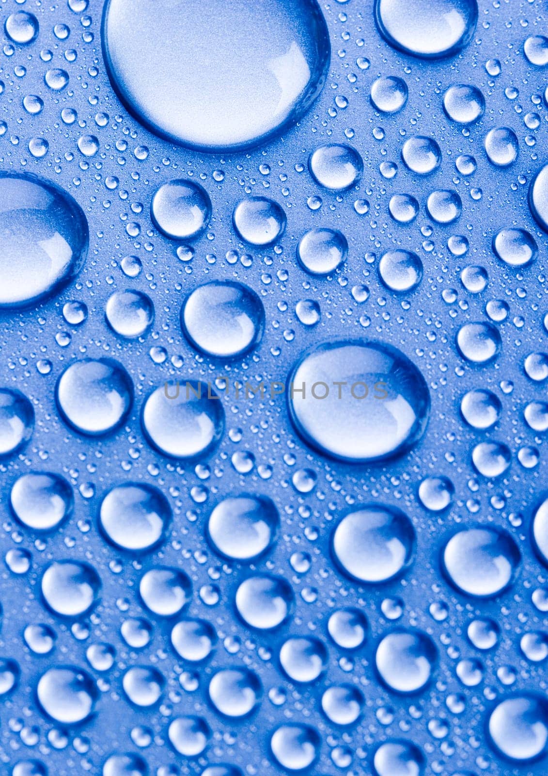 Water is the most important element for all lives on the Earth.