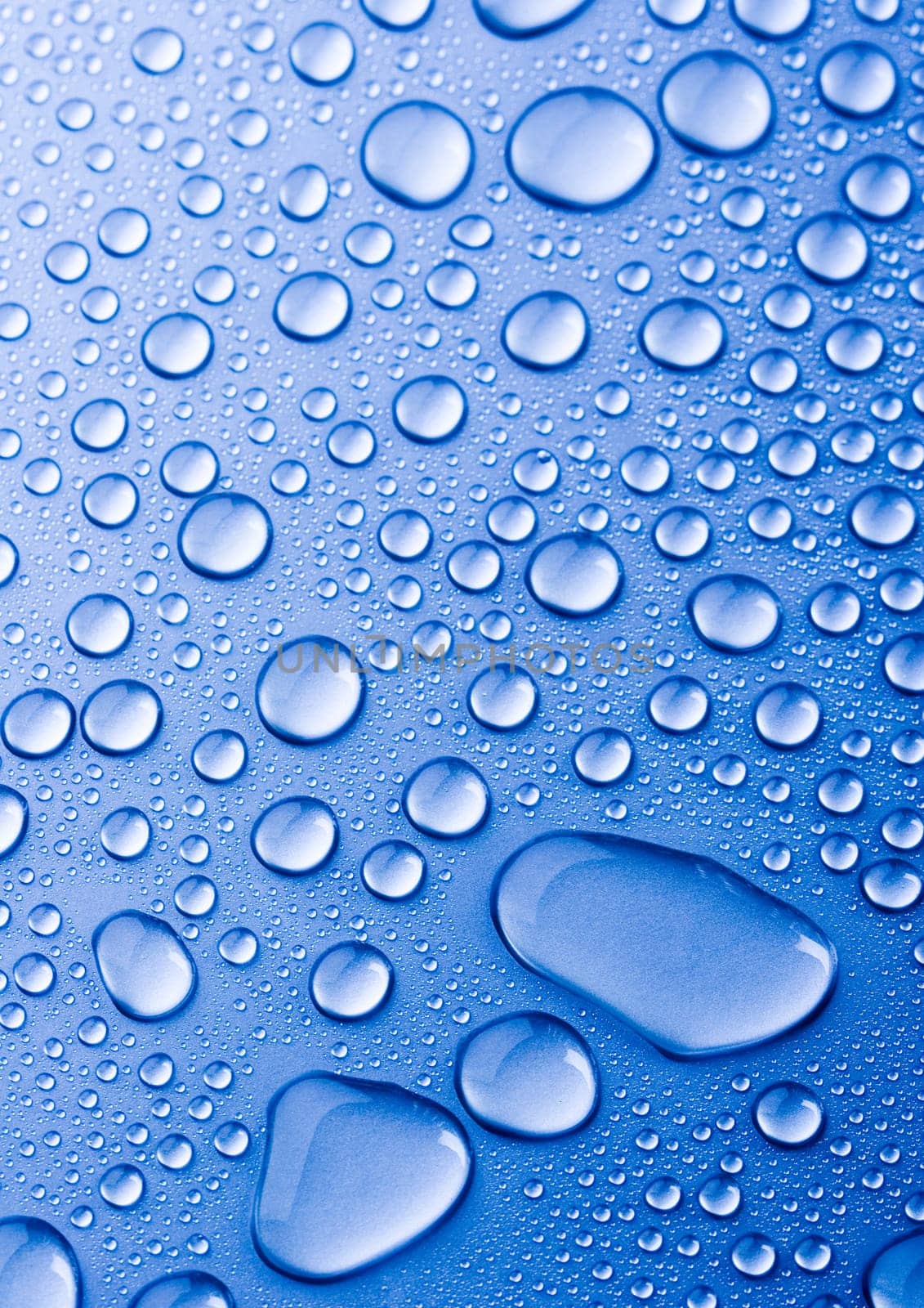 Water is the most important element for all lives on the Earth.