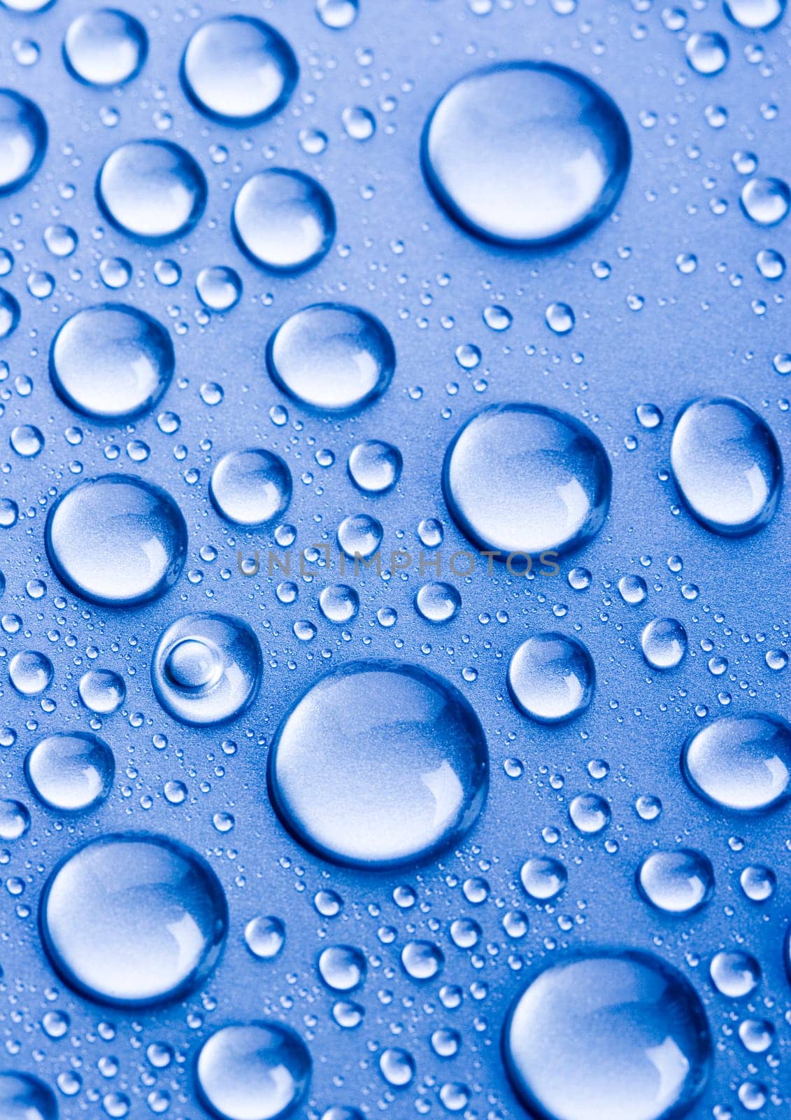 Water is the most important element for all lives on the Earth.