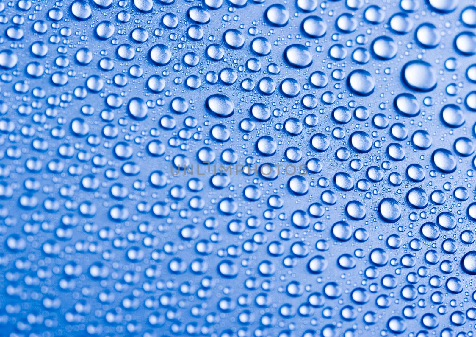 Water is the most important element for all lives on the Earth.