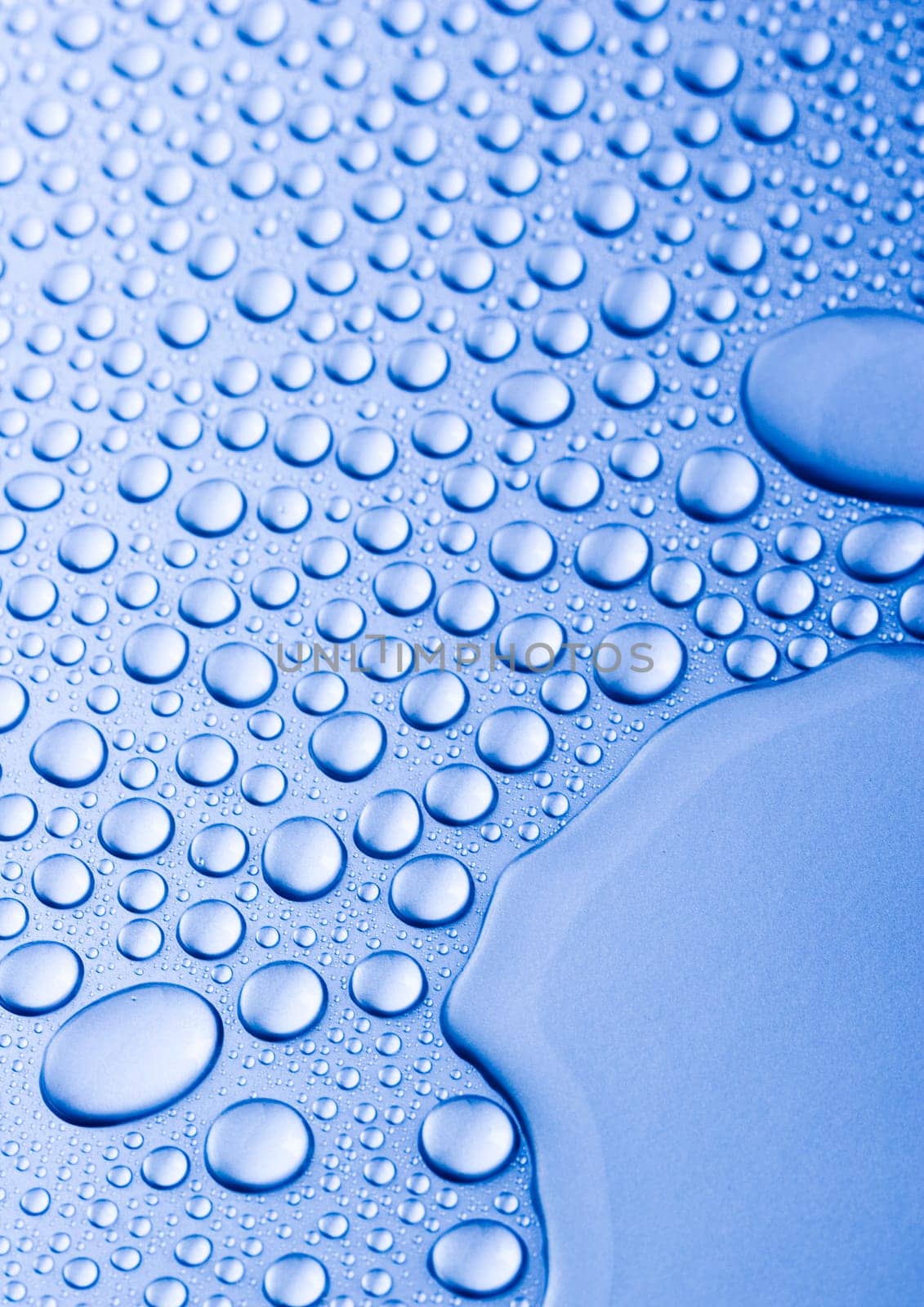 Water is the most important element for all lives on the Earth.
