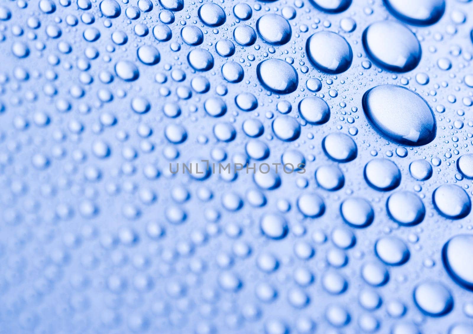 Water is the most important element for all lives on the Earth.