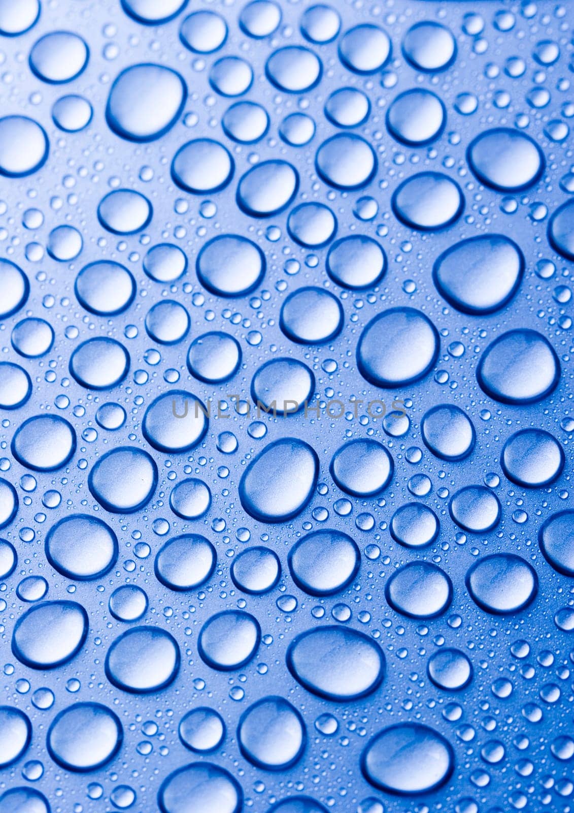 Water is the most important element for all lives on the Earth.