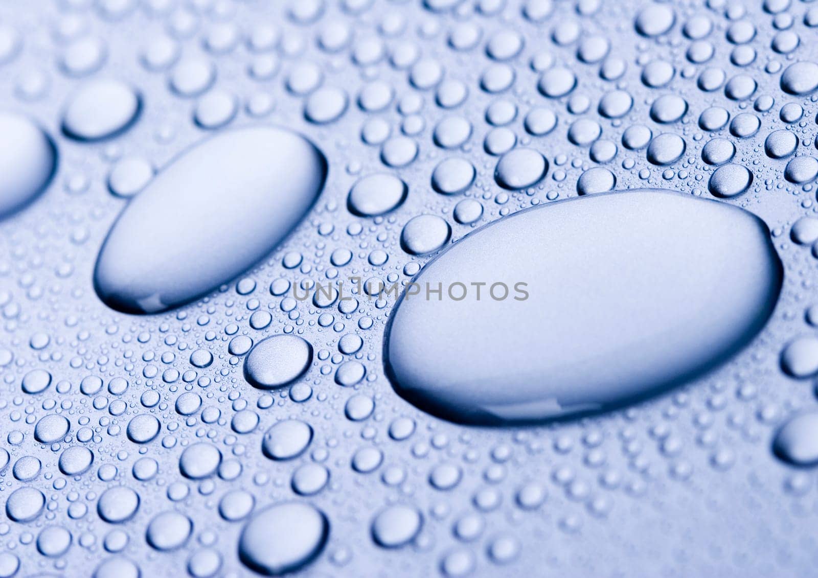 Water is the most important element for all lives on the Earth.