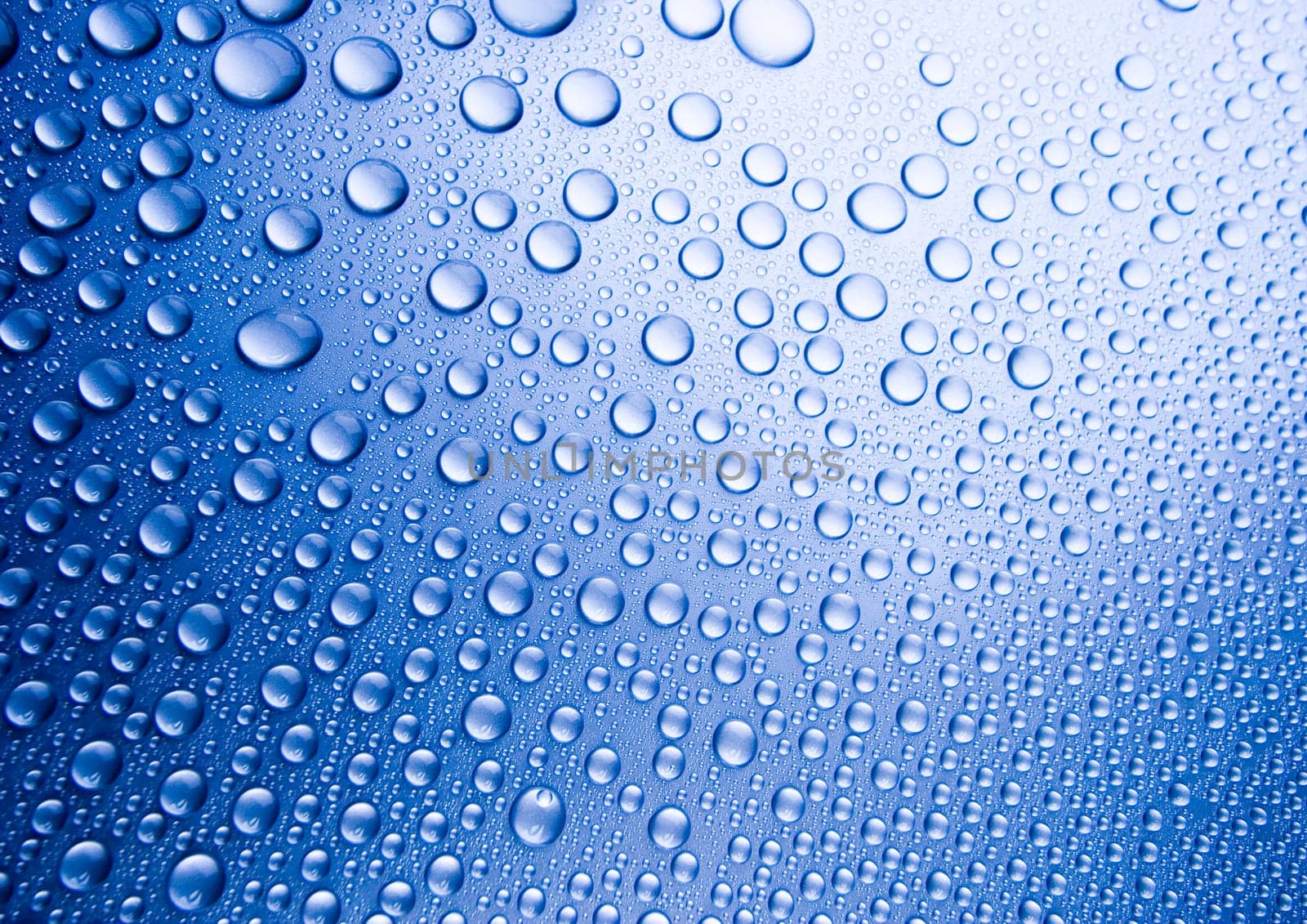 Water is the most important element for all lives on the Earth.