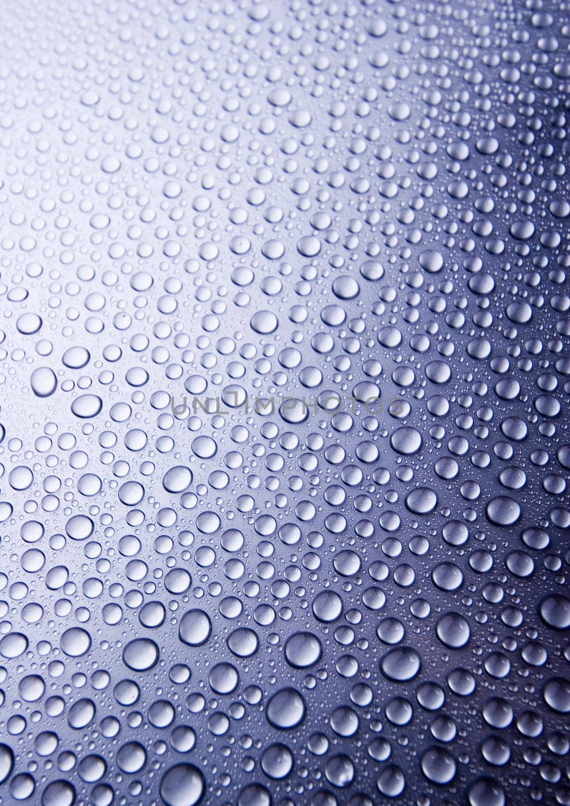 Water is the most important element for all lives on the Earth.