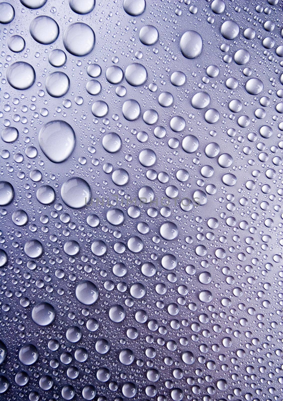 Water is the most important element for all lives on the Earth.