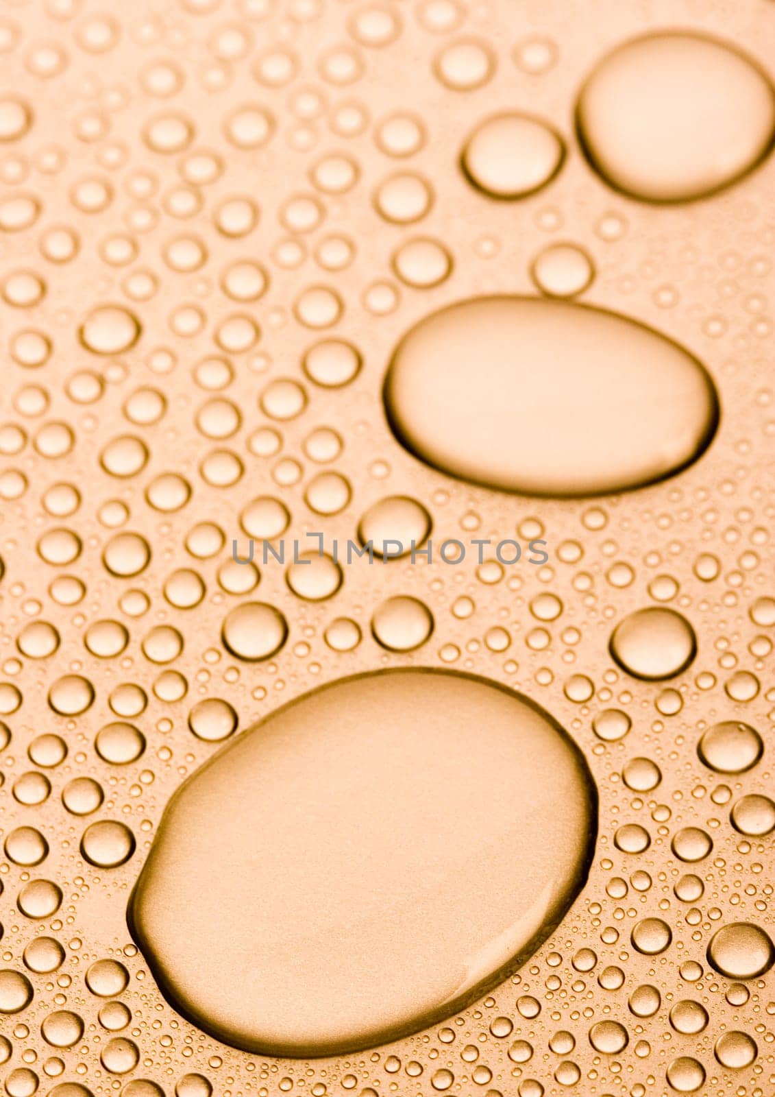 Water is the most important element for all lives on the Earth.