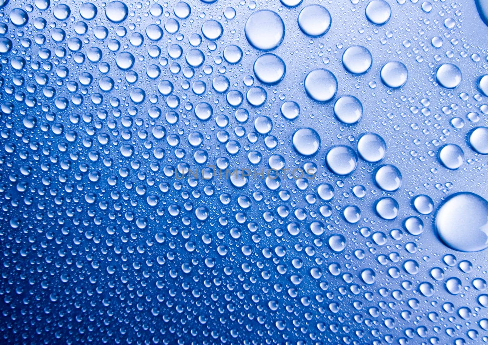 Water is the most important element for all lives on the Earth.