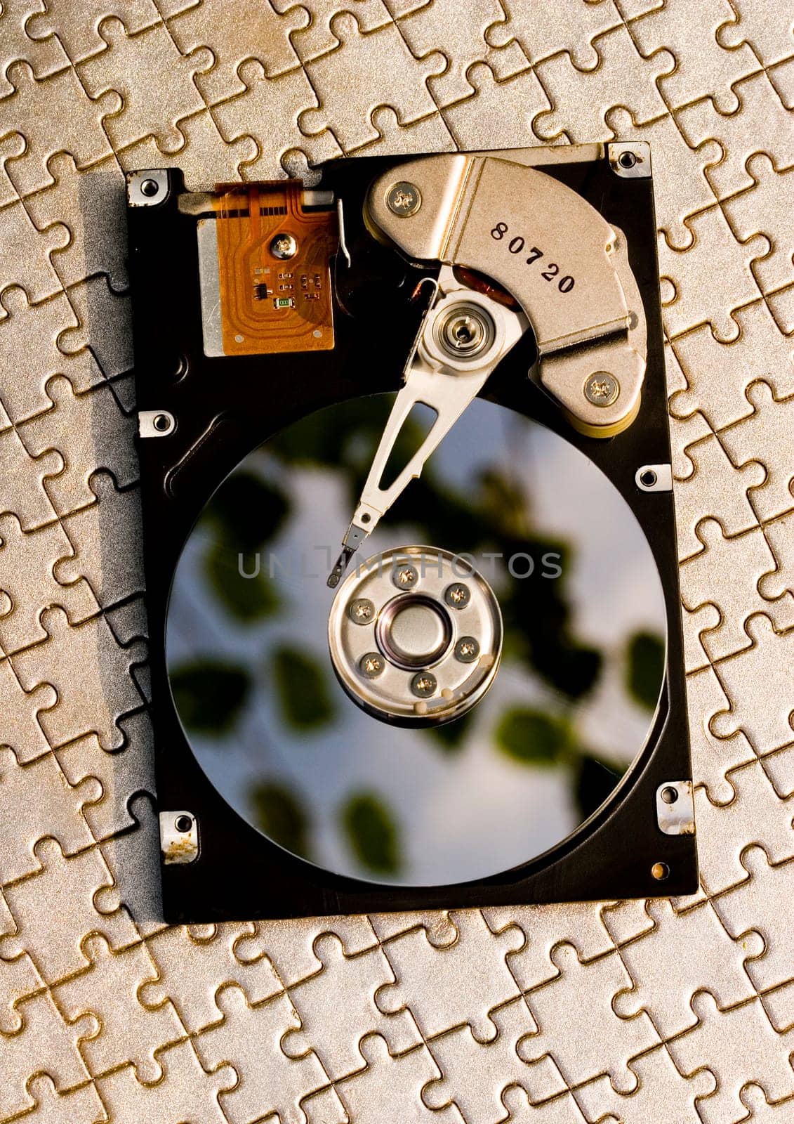 Hard disk is the brain of computer.
