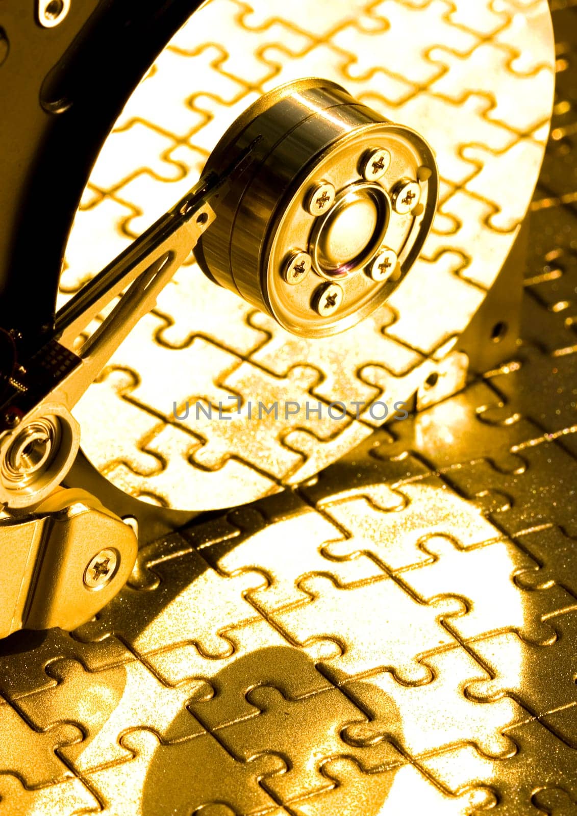 Hard disk is the brain of computer.