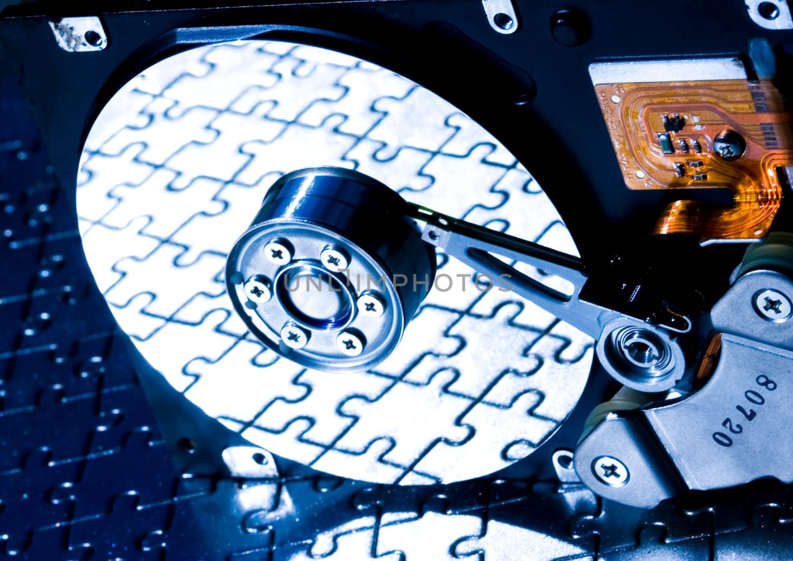 Hard disk is the brain of computer.