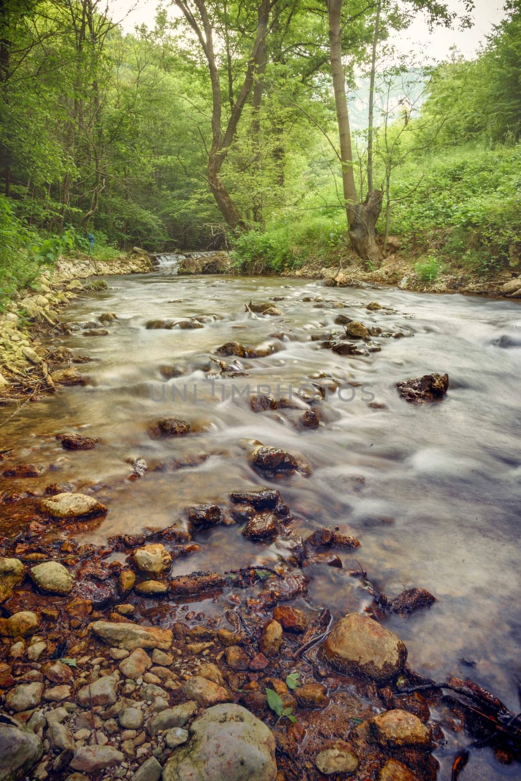 Beautiful forest river motion landscape. Water stream cascades in wood. Fine art wallpaper background.
