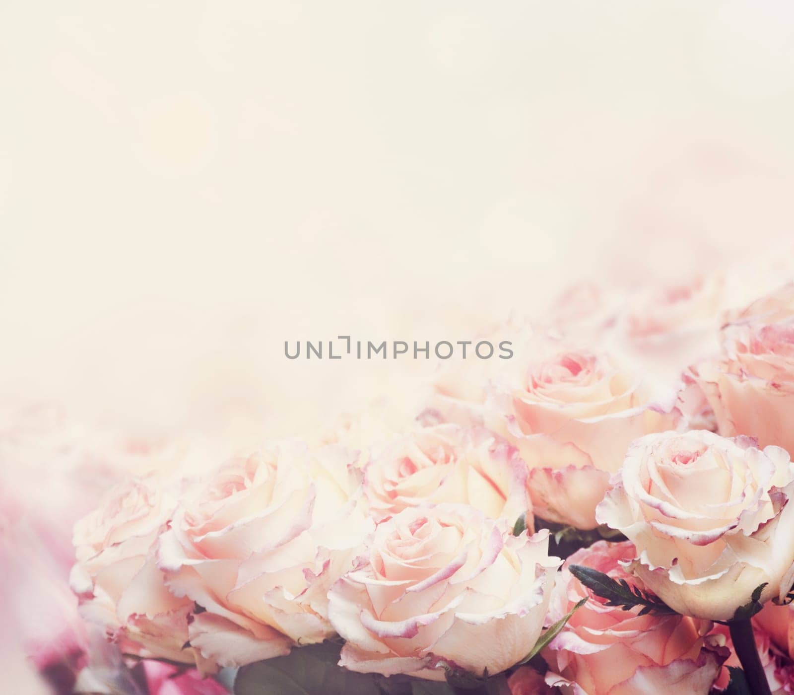 Beautiful pastel roses wedding bouquet design with copyspace. Vintage style valentine flower border greeting card. Artistic floral background banner.