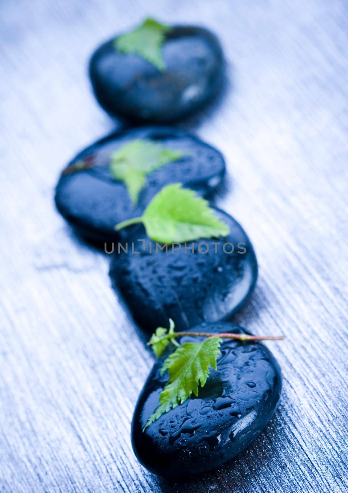 Zen is a freshness and the way of life.