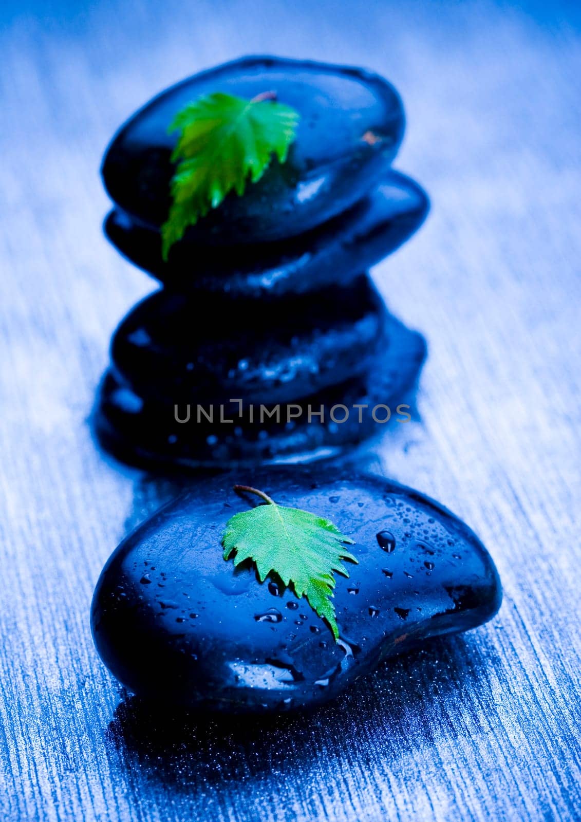 Zen is a freshness and the way of life.