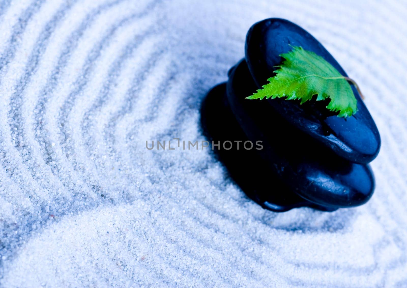 Zen is a freshness and the way of life.