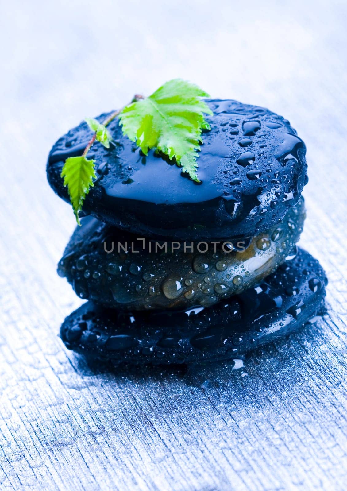Zen is a freshness and the way of life.