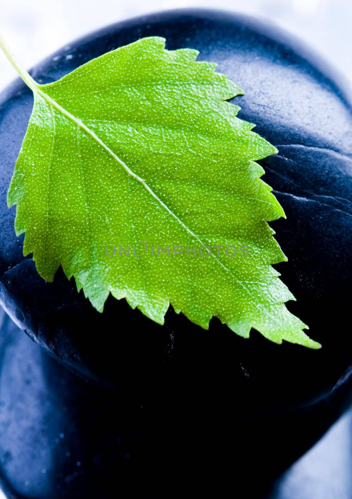 Zen is a freshness and the way of life.