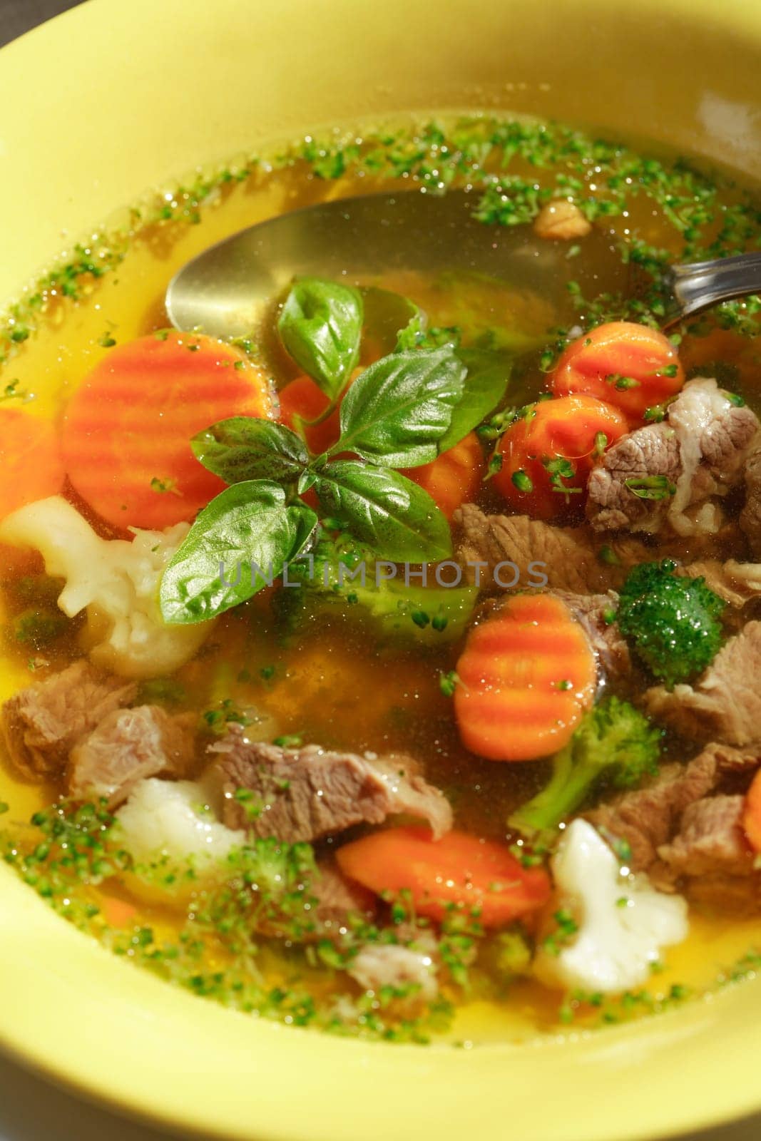 Delicious vegetable soup with meat