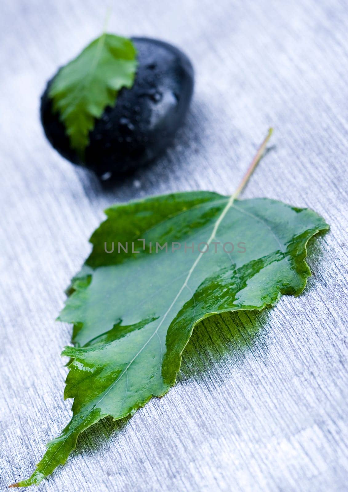 Zen is a freshness and the way of life.