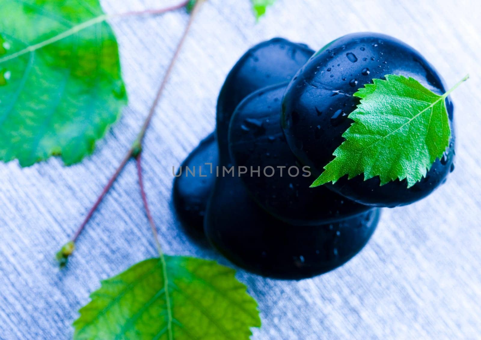Zen is a freshness and the way of life.