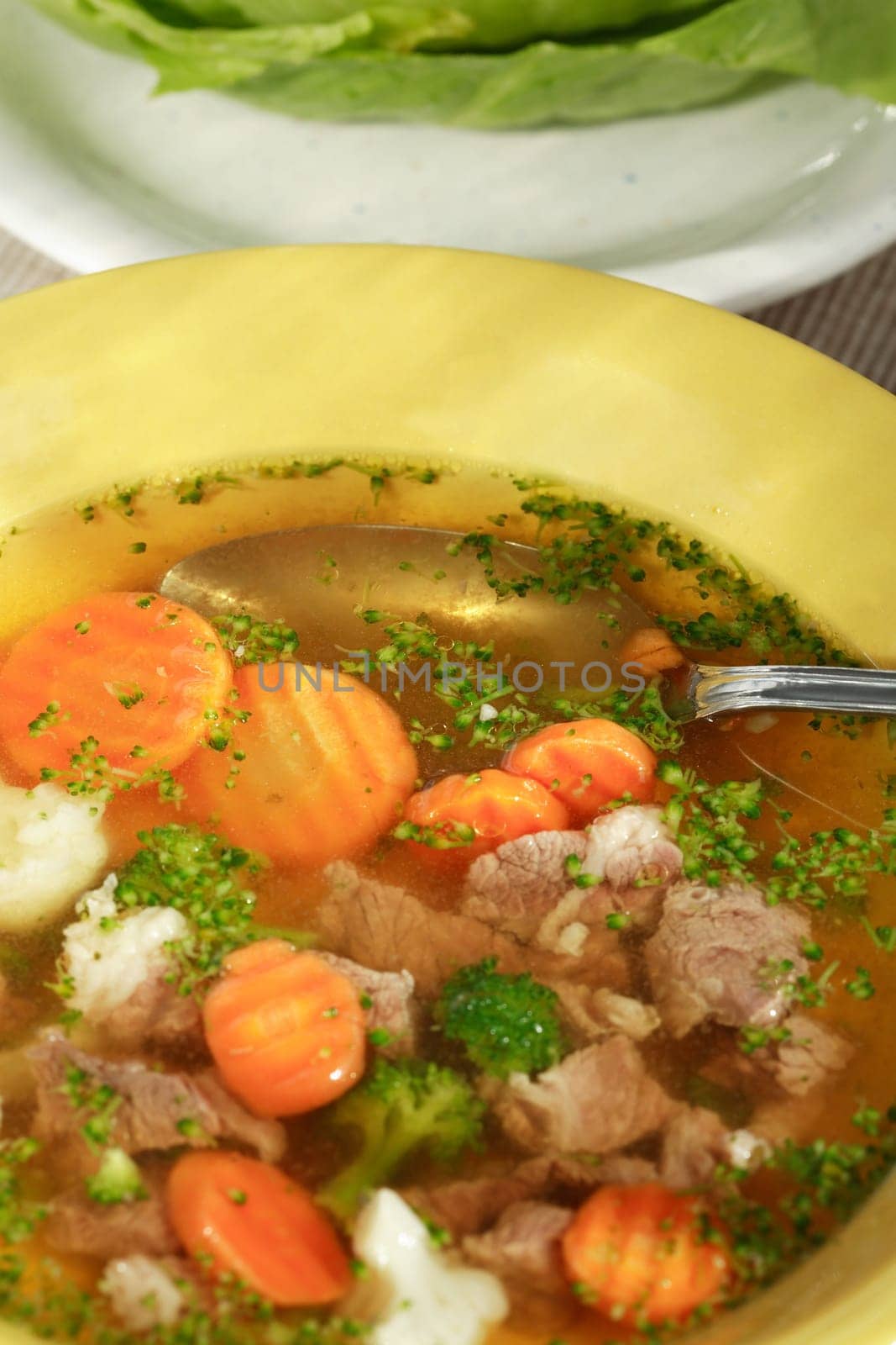 Delicious vegetable soup with meat