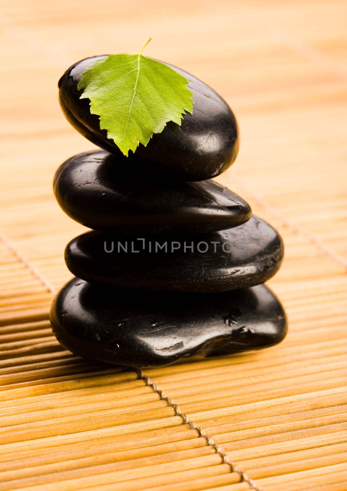Zen is a freshness and the way of life.