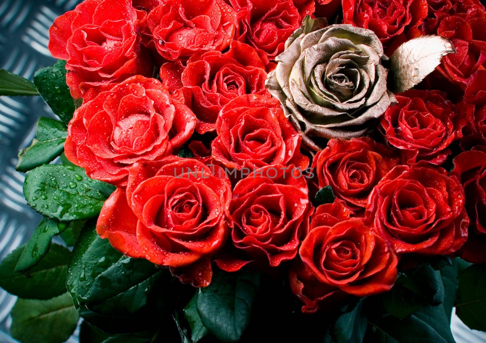 Rose (Rosa), a kind of flower which belongs to the rose-like family, includes over 200 species (according to some researchers up to a few thousands) bushes, which can be found in temperate and warm areas of the northern hemisphere.