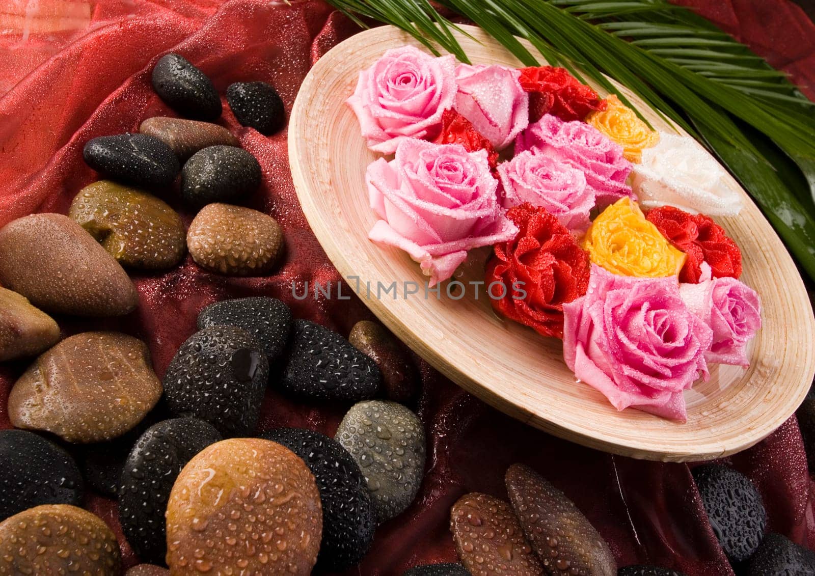 Rose (Rosa), a kind of flower which belongs to the rose-like family, includes over 200 species (according to some researchers up to a few thousands) bushes, which can be found in temperate and warm areas of the northern hemisphere.